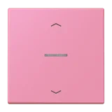 Rose Vif