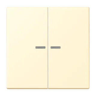 JUNG HOME push-button 2-gang