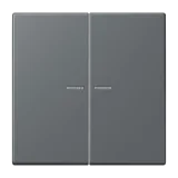 Gris Foncé 31