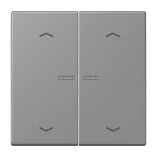 JUNG HOME push-button 2-gang with arrow symbols