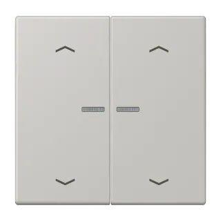 JUNG HOME push-button 2-gang with arrow symbols