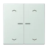 Céruléen Pâle