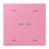 Rose Vif