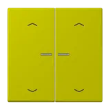 Vert Olive Vif