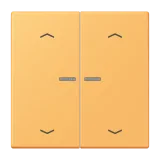 Ocre Jaune Clair