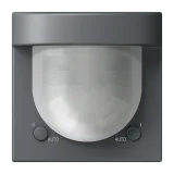 Gris Foncé 31