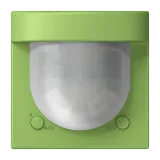 Vert 31