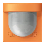 Orange Clair