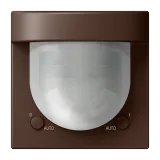 Terre d'Ombre Brûlée 31