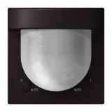 Noir d'Ivoire