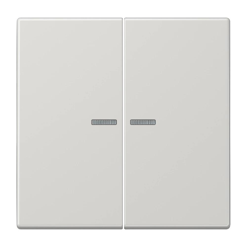 JUNG HOME push-button 2-gang — JUNG Bluetooth, Light Grey, art. BTLS17102LG