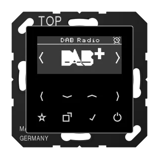 Смарт радио DAB+