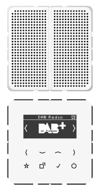 Смарт радио DAB+, моно