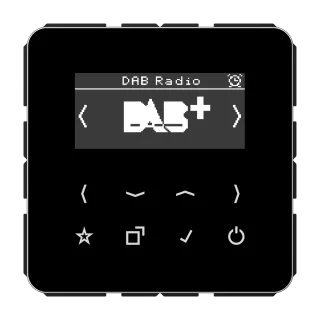 Смарт радио DAB+