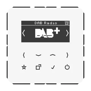 Смарт радио DAB+