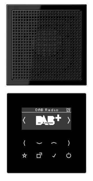 Смарт радио DAB+, моно