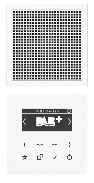 Смарт радио DAB+, моно