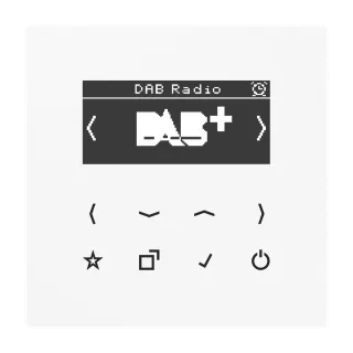 Смарт радио DAB+