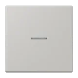 Gris Clair 31