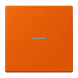 Orange Vif
