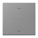 Gris 31