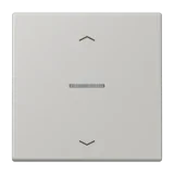 Gris Clair 31