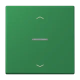 Vert Foncé