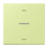 Vert Jaune Clair