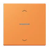 Orange Clair