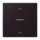 Noir d'Ivoire