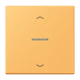 Ocre Jaune Clair