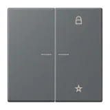 Gris Foncé 31