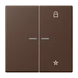 Terre d'Ombre Brûlée 31
