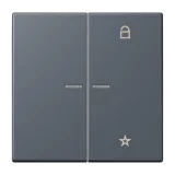Gris Foncé 59