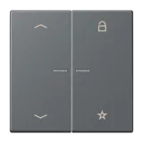 Gris Foncé 31