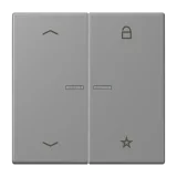 Gris 31