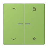 Vert 31