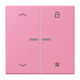 Rose Vif