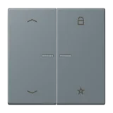 Gris 59