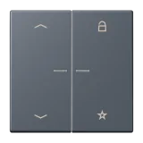 Gris Foncé 59