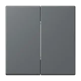 Gris Foncé 31