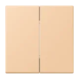 Terre Sienne Claire 31