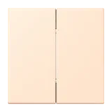 Terre Sienne Pâle