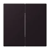 Noir d'Ivoire