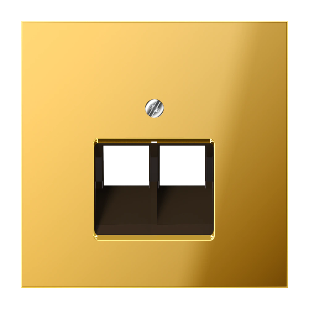 Centre plate for 2-gang modular jack socket (8-pole) — JUNG LS 990, gold coloured, art. GO2969-2UA