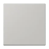 Gris Clair 31