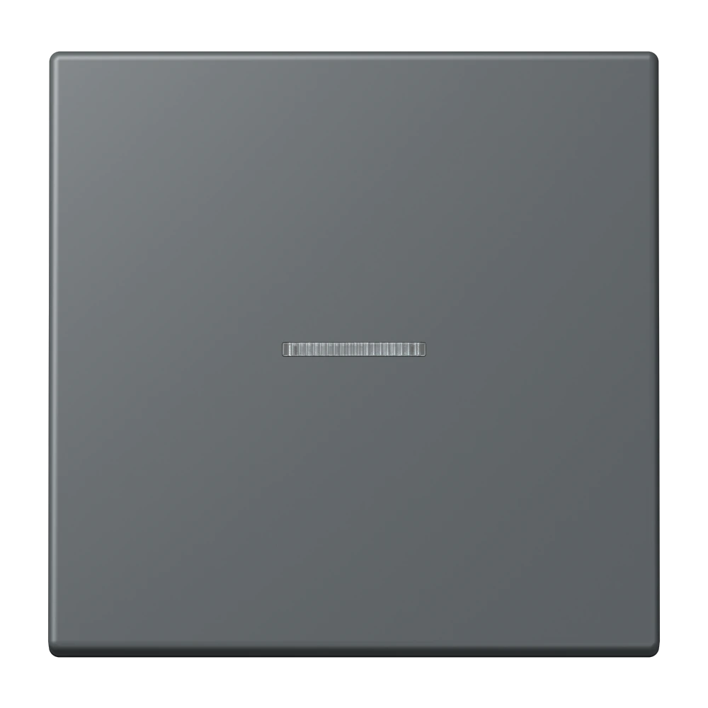 Rocker with lens for KNX push-button 1-gang — JUNG LS 990 Le Corbusier, Gris Foncé 31, art. LC101KO5202