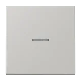 Gris Clair 31
