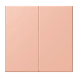 Клавиша для KNX кнопок, 2 группы
