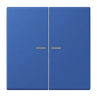 Rocker with lens for KNX push-button 2-gang